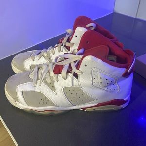 Jordan Retro 6 Alternate